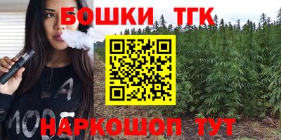 индика Комсомольск-на-Амуре